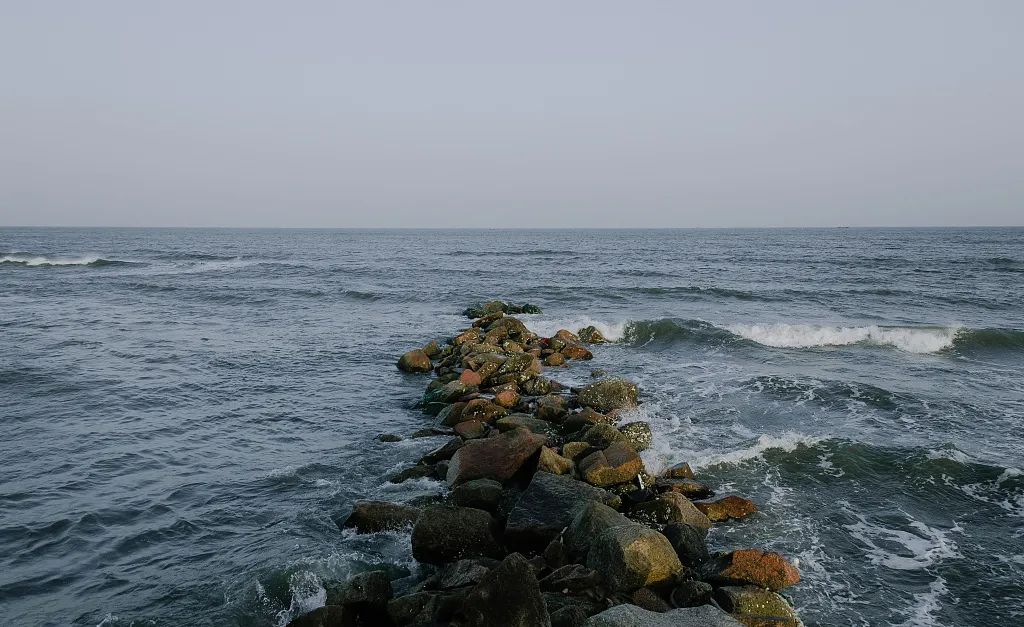 离北京最近的葡萄酒产区！来河北产区你能喝到啥？学到啥？