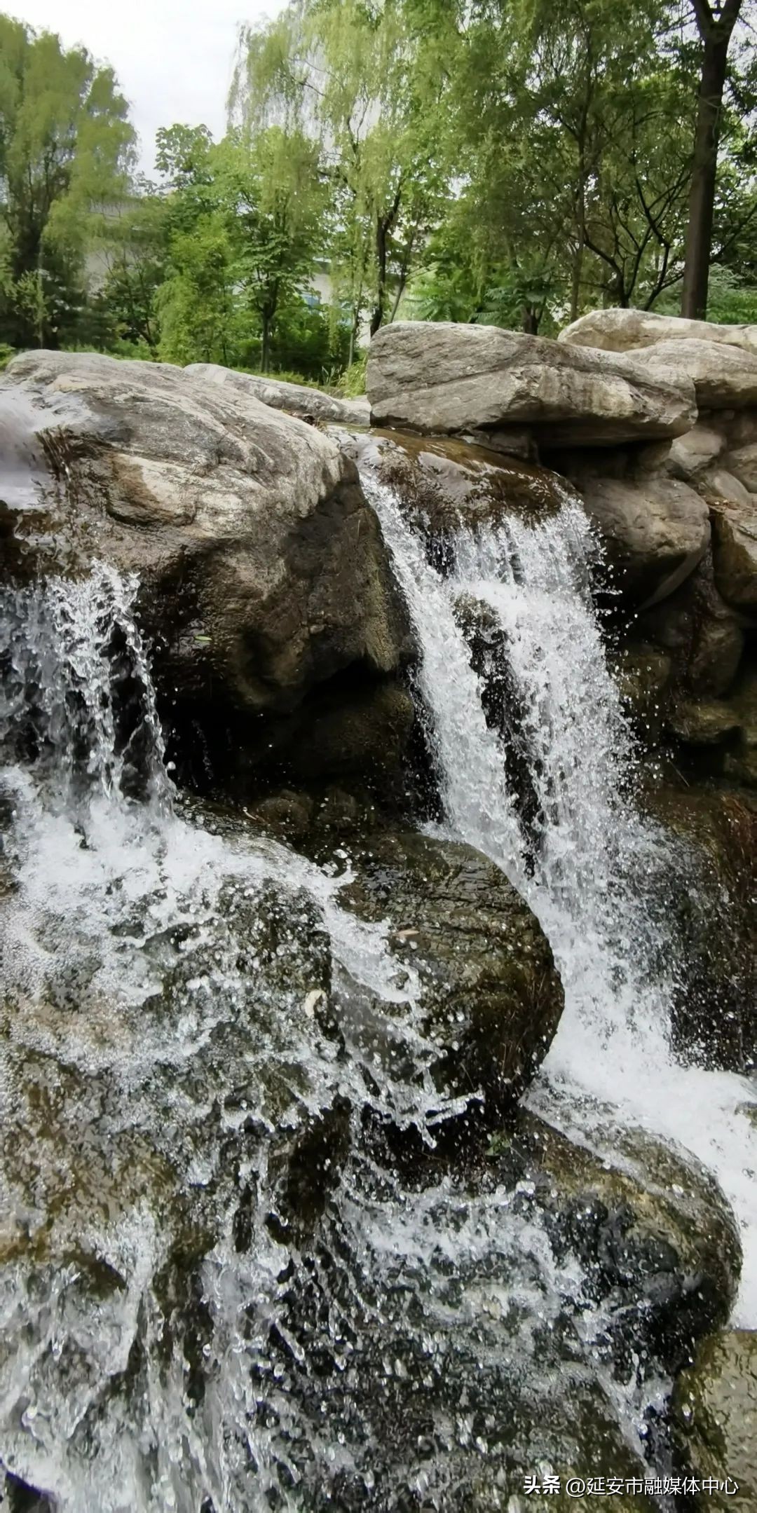 陕西宾馆迎来最佳观花赏景季节,陕西宾馆内景色