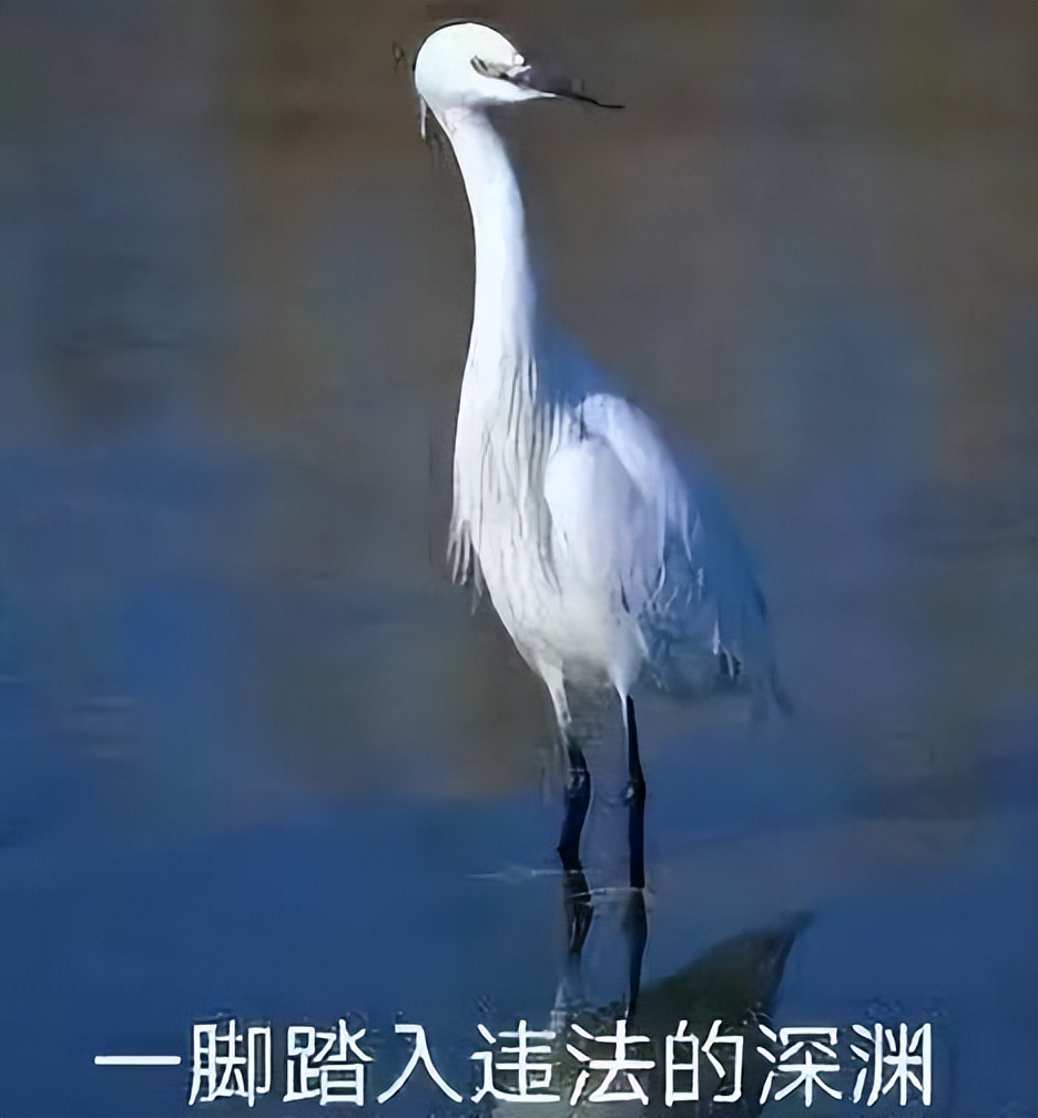 “虽然我出去嫖,但是我对你是真爱啊!”