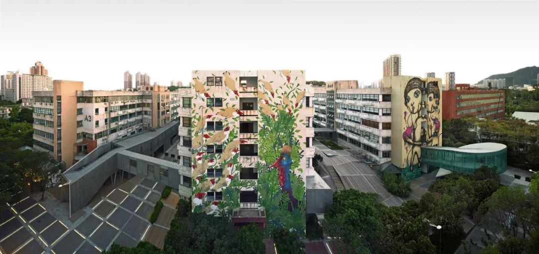 旧楼改造空中花园,低成本打造空中花园