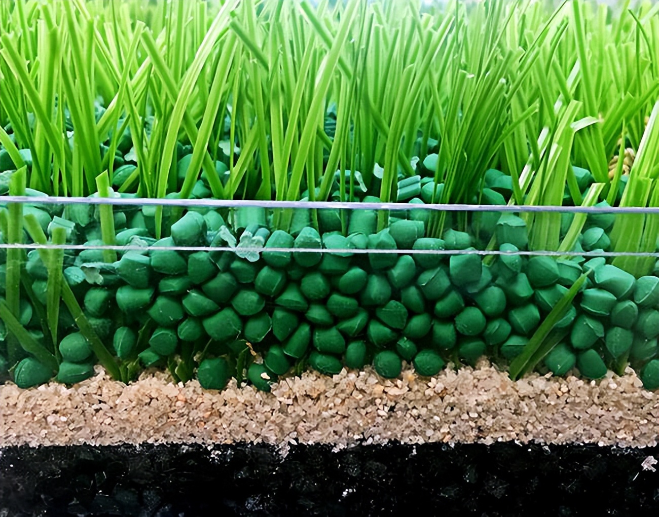 草坪养护撒石灰还是先播种,草坪养护是否复杂