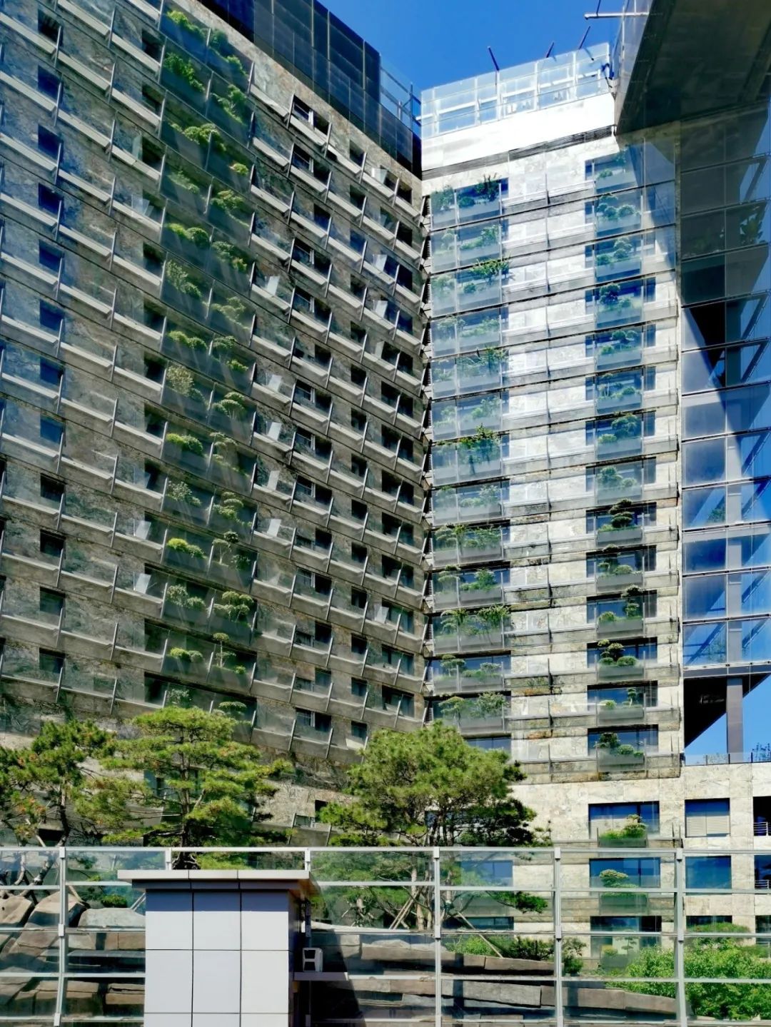 住在北京鸟巢附近，是一种什么样的体验