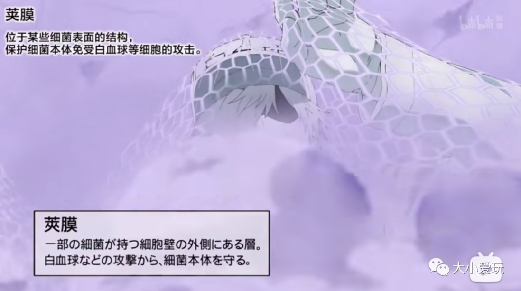 从科普到各学科，我们为孩子集齐了B站最强学习资源！记得收藏