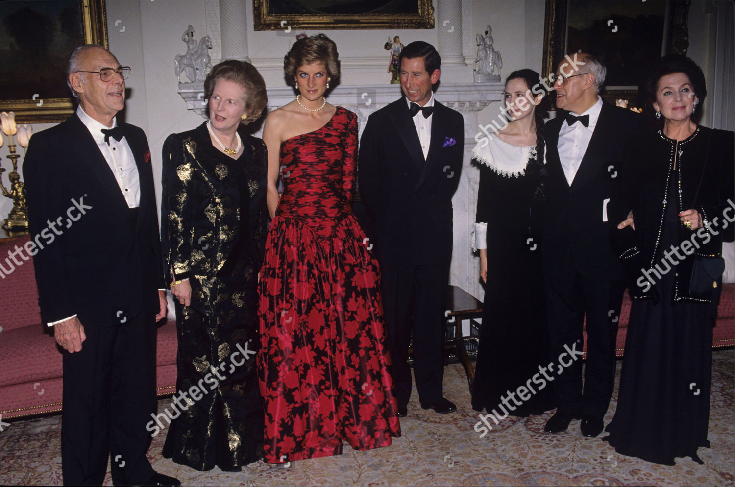 戴安娜王妃的蓝丝绒礼服,戴安娜王妃惊世容颜