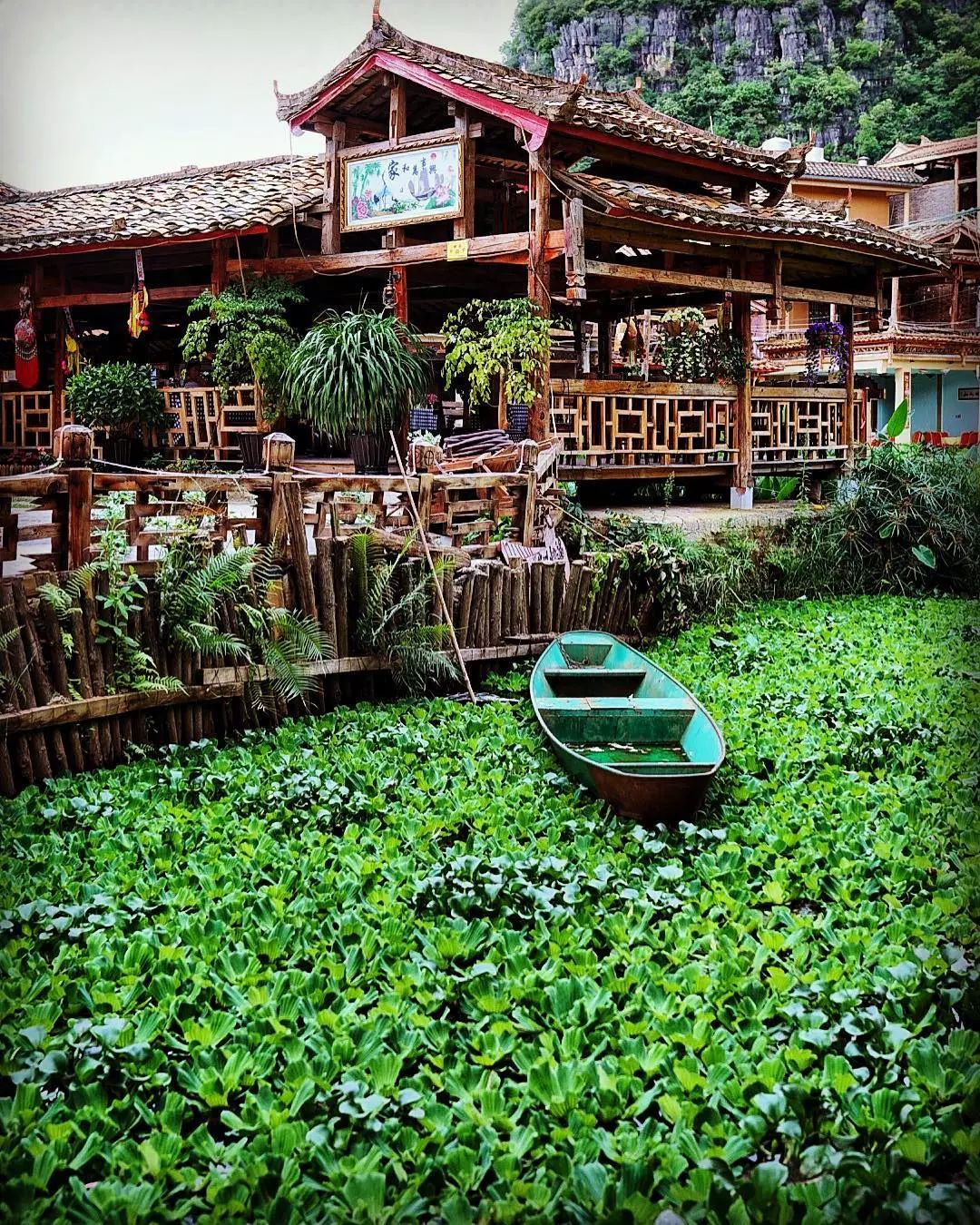 云南普者黑在哪个城市,云南普者黑最美的风景在哪里