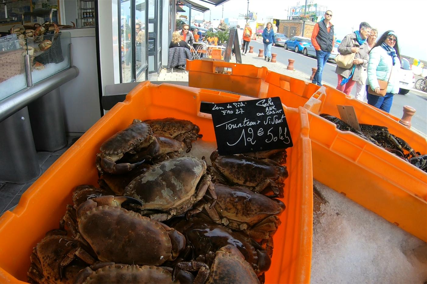中国小伙的航海日记（十二）法国诺曼底，“蚝中之王”竟如此便宜