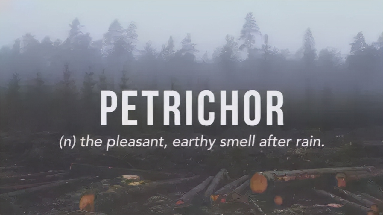 23个英语词,23个英语字母表图片