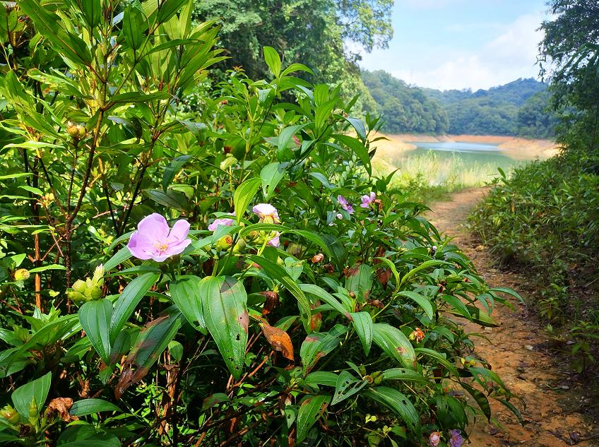 刘柏荣|豪*欲情**把春留住:花困东君酒点唇(原创诗词十首)