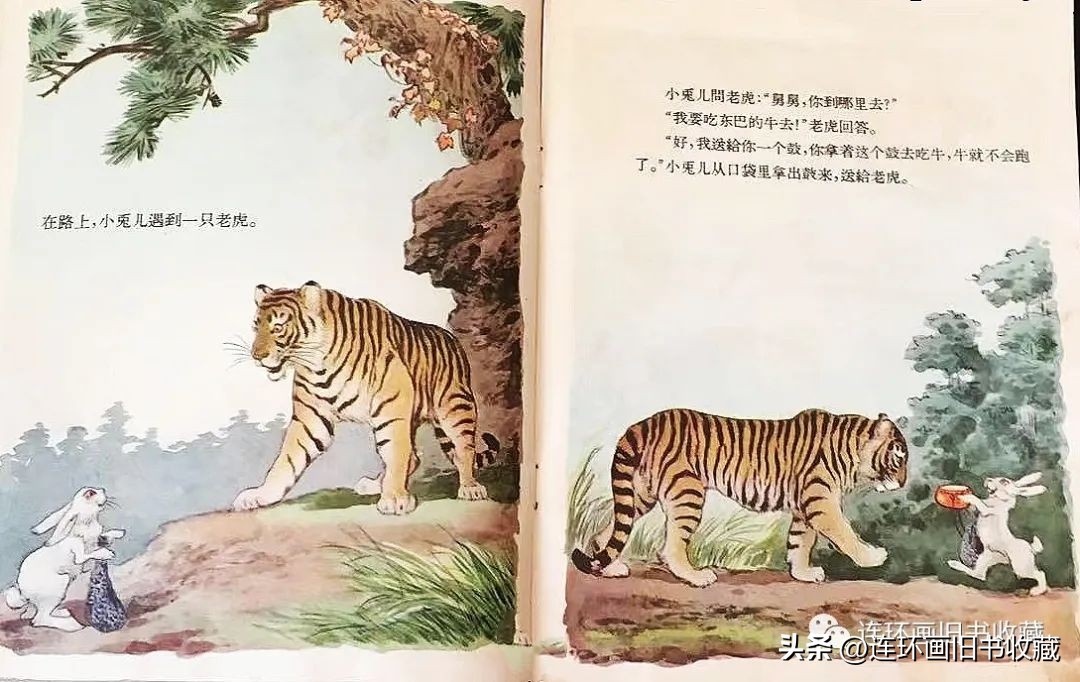 白兔和黑兔四格连环画,关于兔年的多格连环画