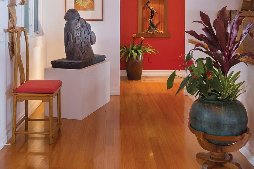 客厅实用盆栽植物有哪些,客厅一般放什么植物盆栽比较好