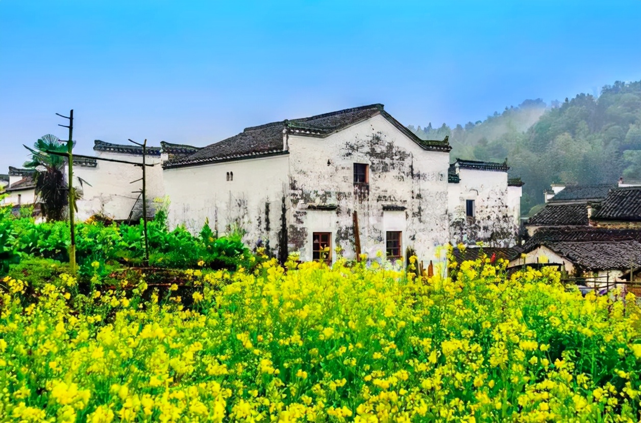 贺知章关于春天的诗句,贺知章有哪些写春天的诗