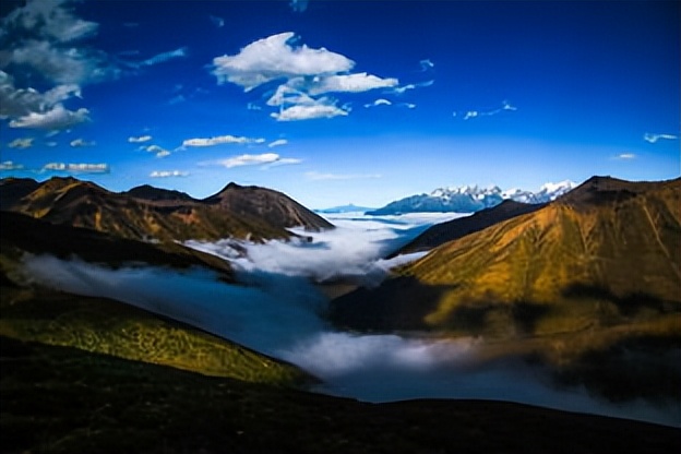 新冠肺炎历史每日数据,新冠肺炎历史全集