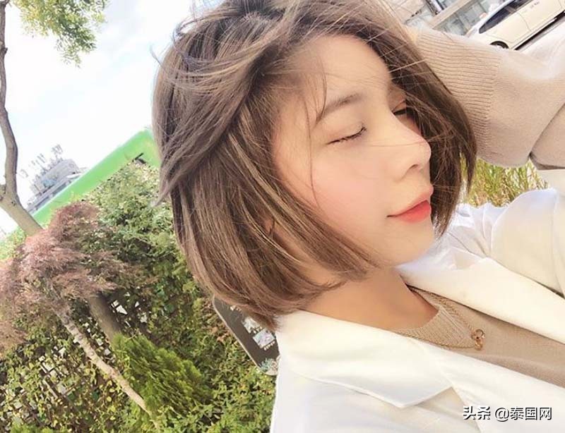 泰星gubgib和马里奥,泰星gubgib早期作品