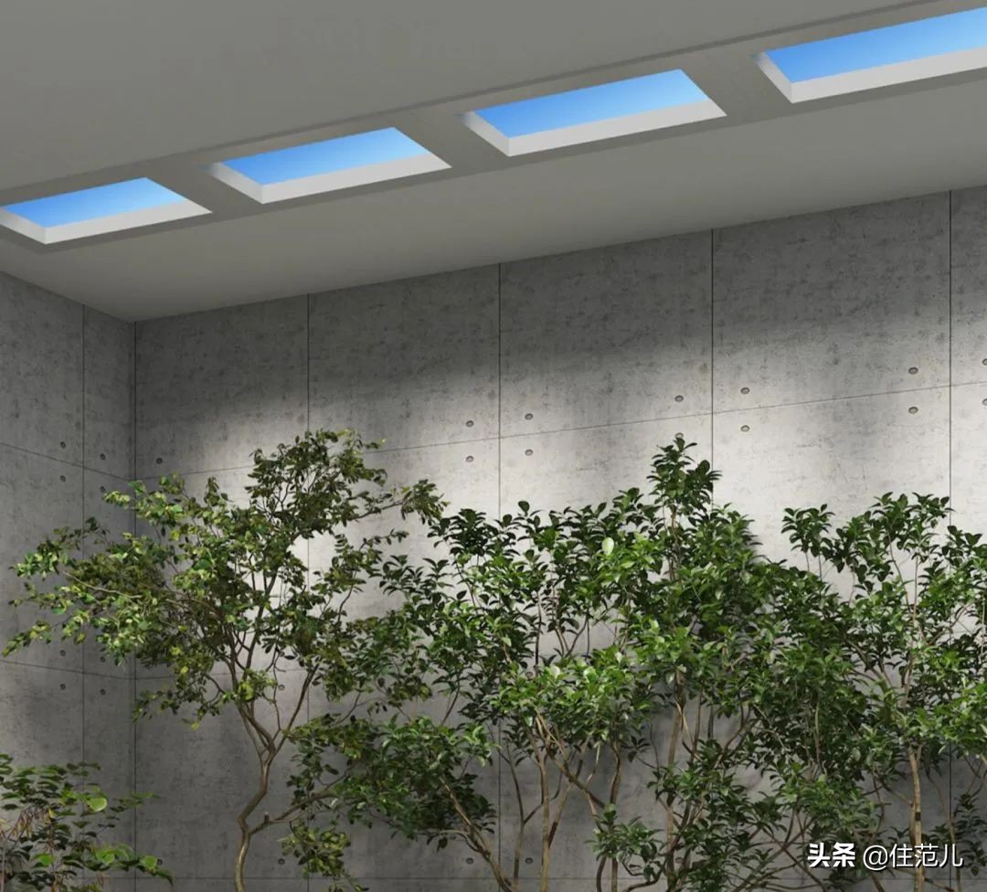 为什么酒店是暗卫但是不臭,五星级酒店也脏吗