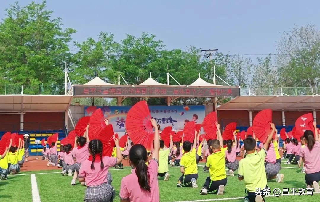 校园竞技体育的魅力,校园青春比赛