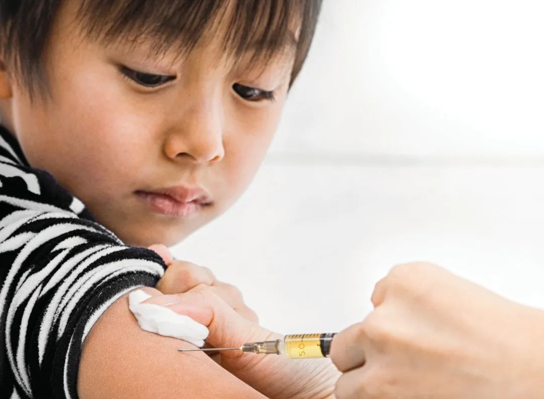 直播行业发展挑战与应对策略,直播行业的机遇与挑战