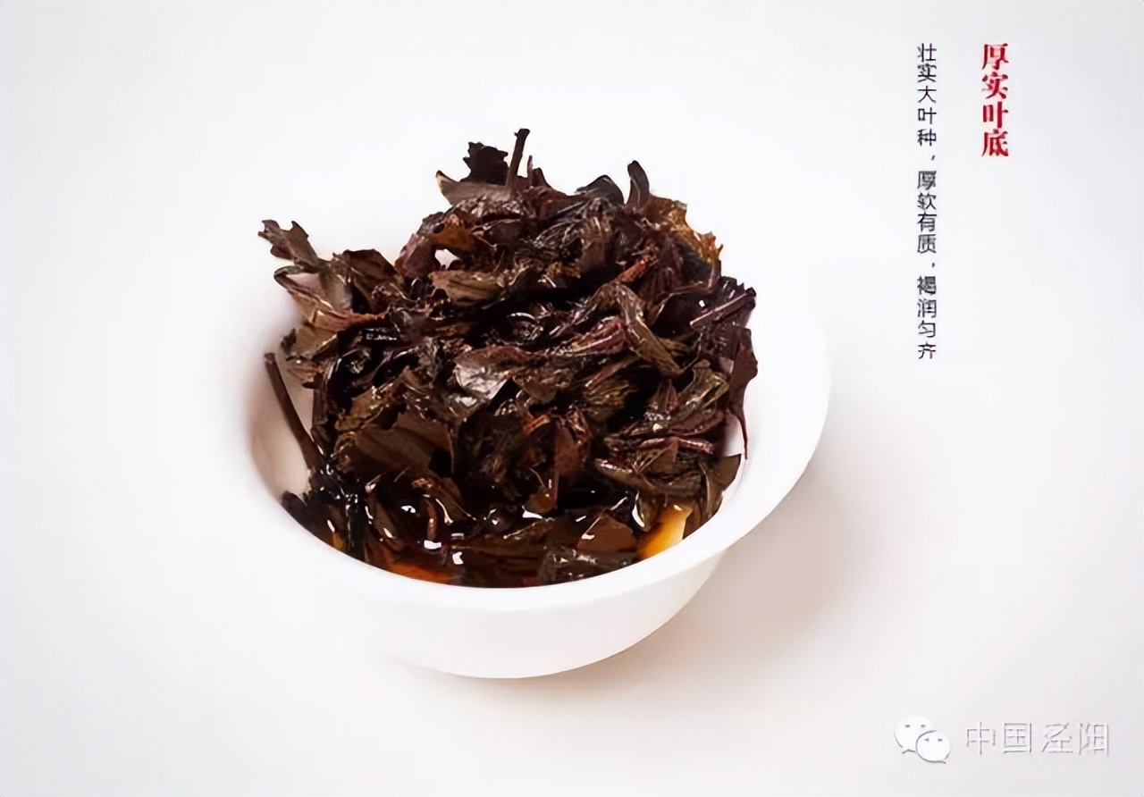 安化茯砖茶和泾阳茯砖茶,泾阳茯砖茶原料是哪里的