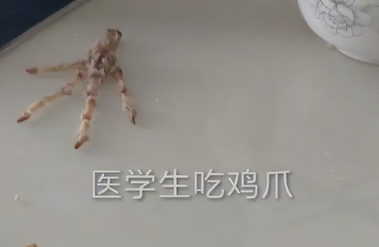 “蹲个肿瘤！”看了医学生和病人的聊天记录，一时说不出谁更离谱