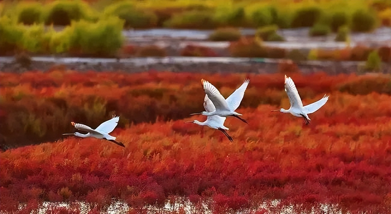 7-8月适合旅游的最佳地方最新,9月旅行地推荐国内最美的10个地方