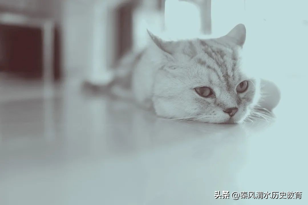 愿青春不负野心——岐山陕九学校期中考试大会发言稿田苗