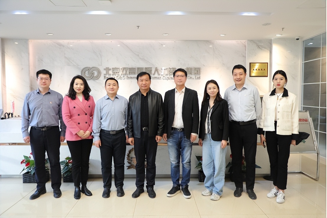 双高合作计划,双高集团组织架构