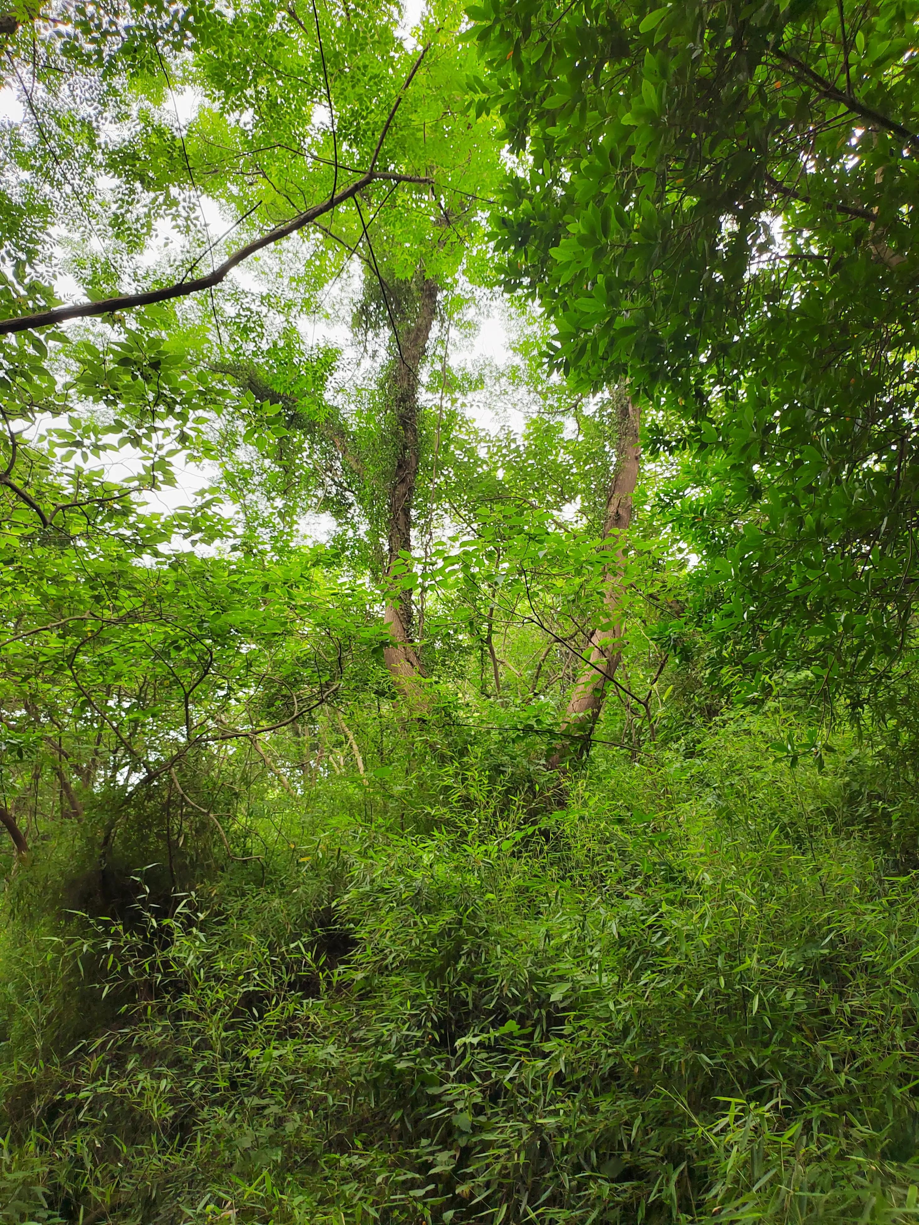 不由得想起家乡,不由自主地想起远方的亲人