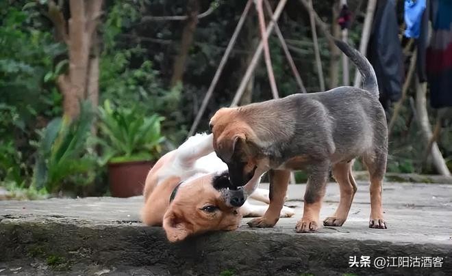 话说泸州古乡镇之，花气熏人百和香，泸县百和镇有历史