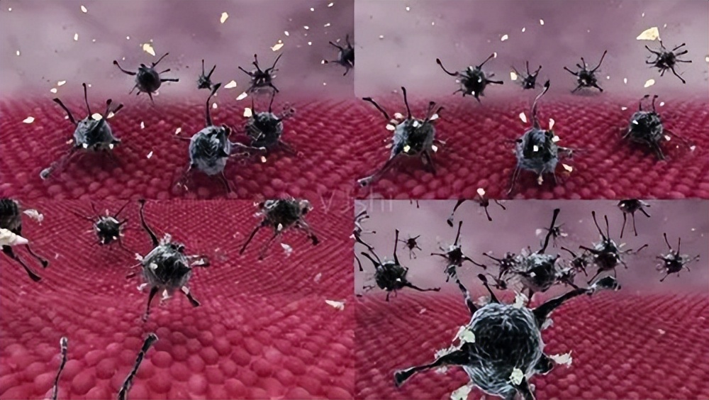 泡发黑木耳多长时间会中毒,黑木耳不能长时间泡辟谣