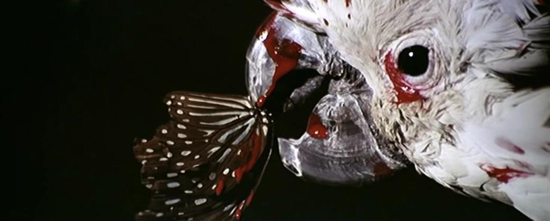 徐克谈蝶变,蝶变徐克经典电影