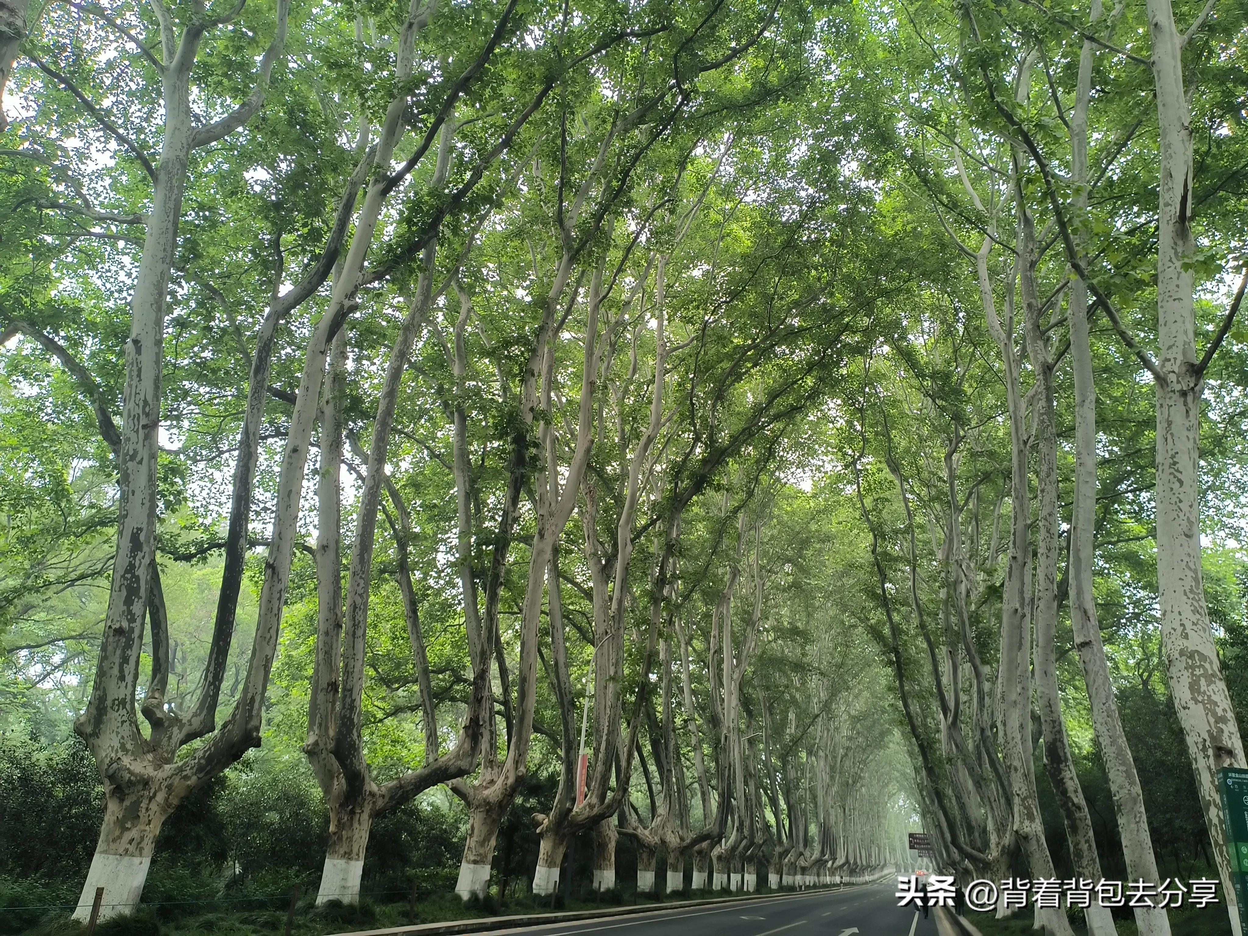 江苏省免费旅游景点,江苏省三免卡免费景点