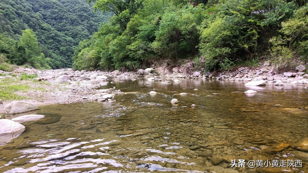 西安秦岭沣峪口夏季避暑去处,西安秦岭沣峪口附近哪里凉快
