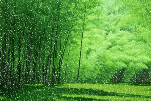 七绝春雨十首,七绝春雨寒烟