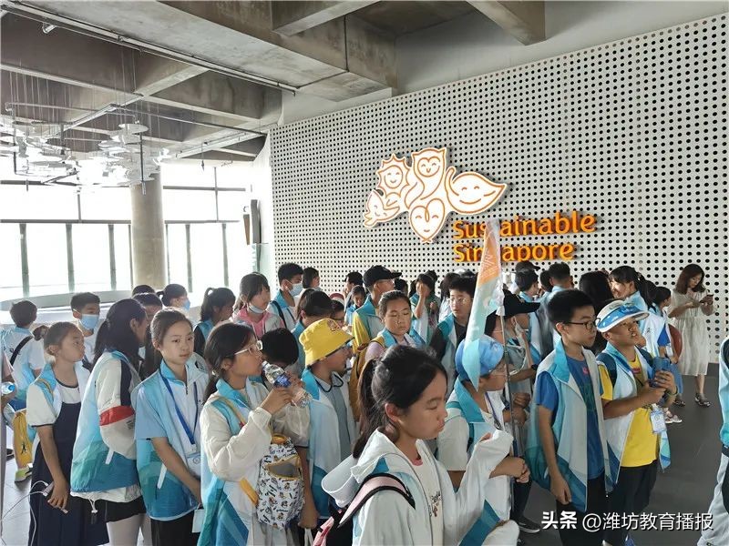 潍坊中新双语好进吗,潍坊中新双语校园