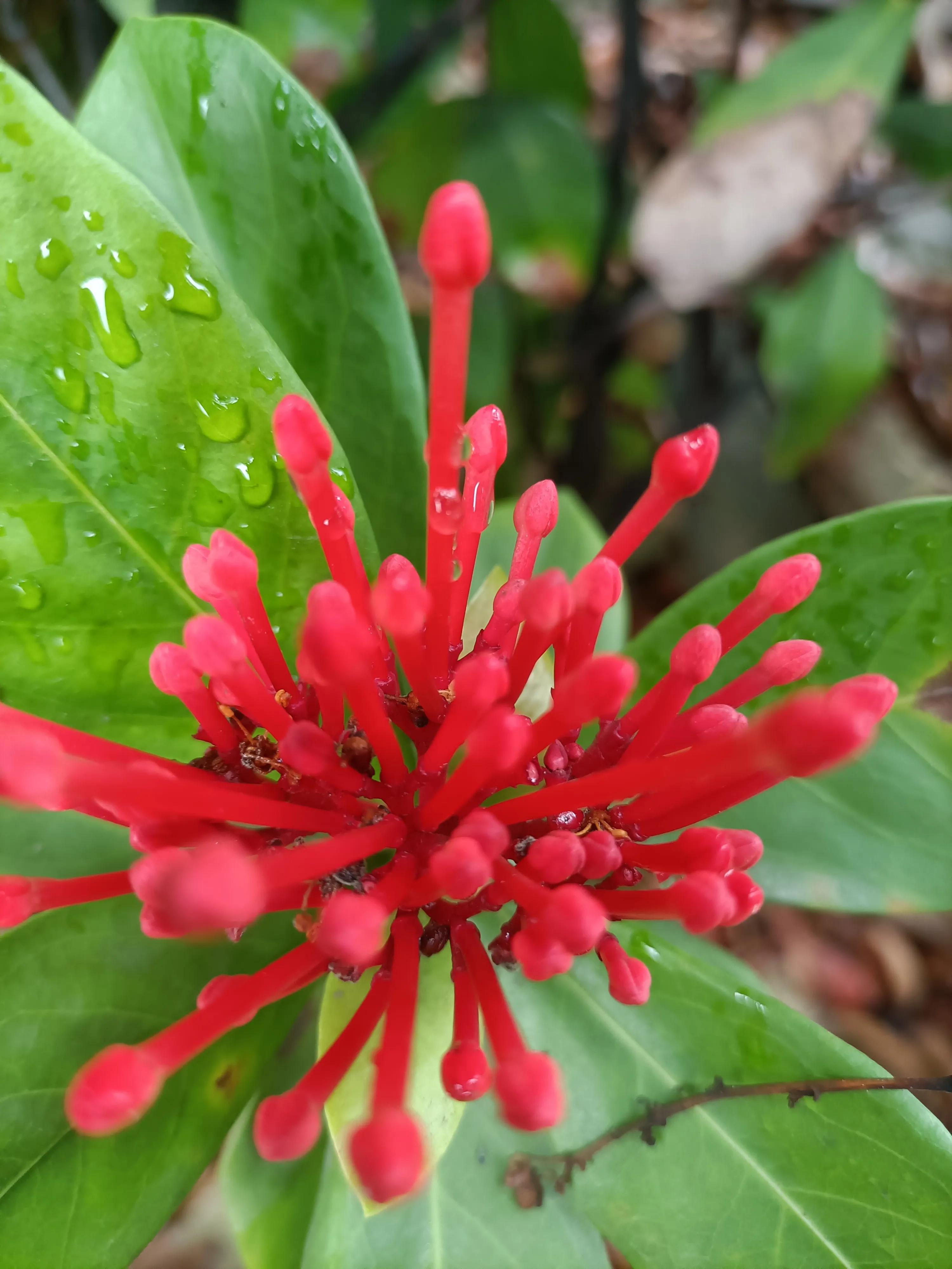 旅游怎么避免被套路呢,外出旅游注意哪些陷阱问题