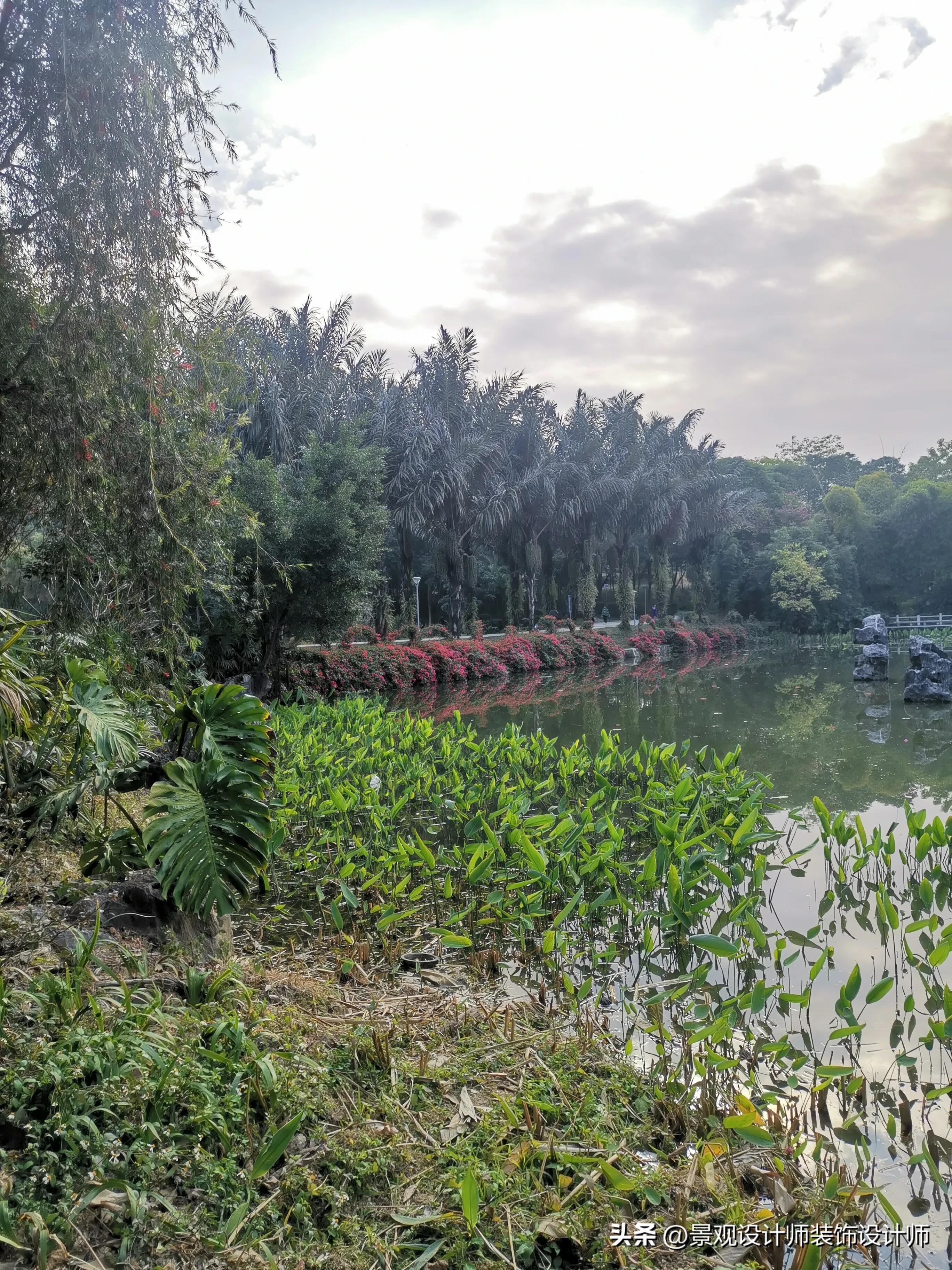 南宁市狮山公园办公区,南宁市狮山公园地址