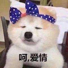 人类*行为性**与动物界的*行为性**，有什么区别？