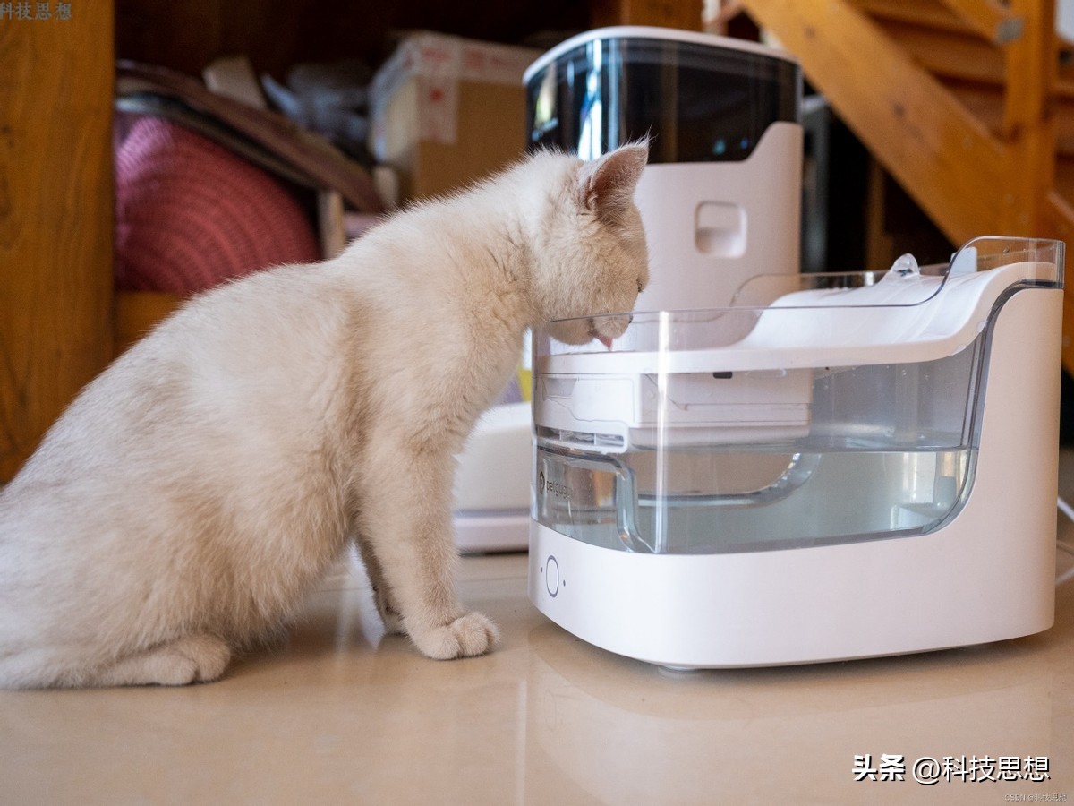 猫咪喝水神器智能不插电恒温,猫咪智能喂水器