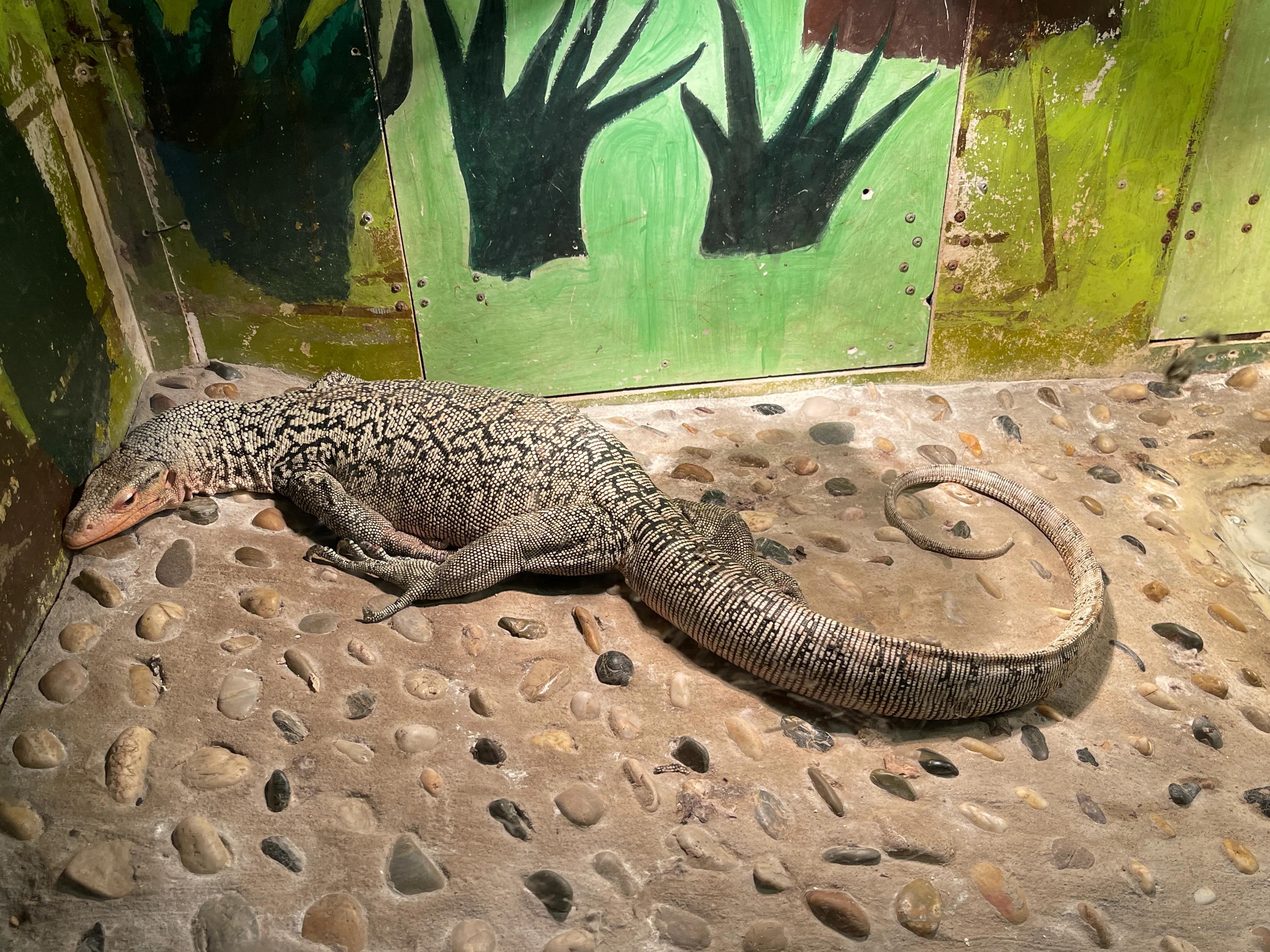 上海大自然野生昆虫博物馆,上海野生昆虫馆门票