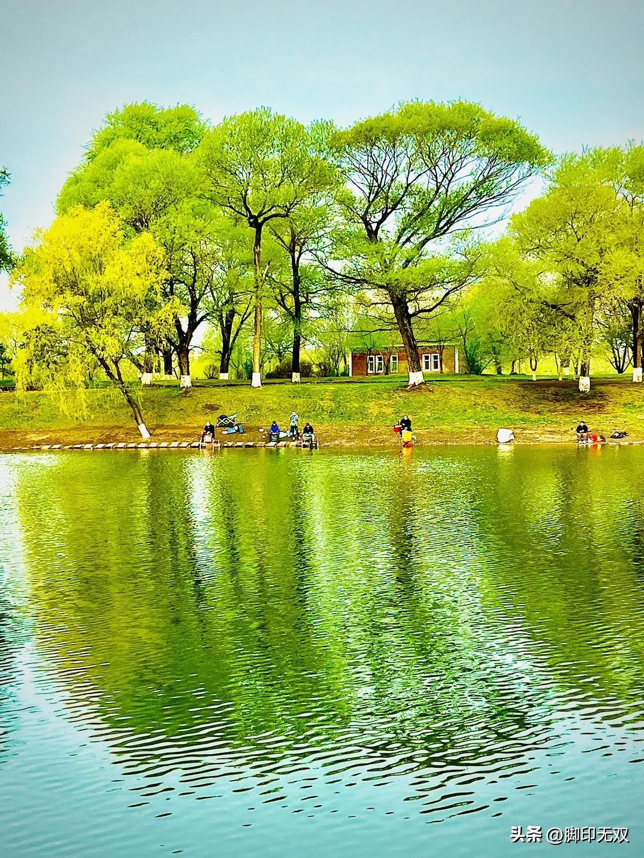 《梦是怎样飞扬的》第二十六章谷底徜徉（10）