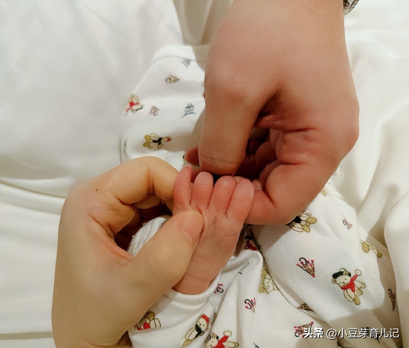 任家萱产子图片,任家萱二胎怀孕了吗