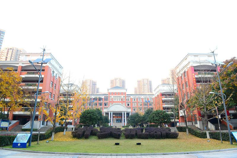 长沙前多少名可以上四大五小,长沙四大五小升学率高吗