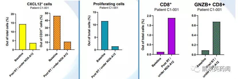 新药巡礼:核酸“抗体”曙光已现,NOX-A12发力肿瘤治疗