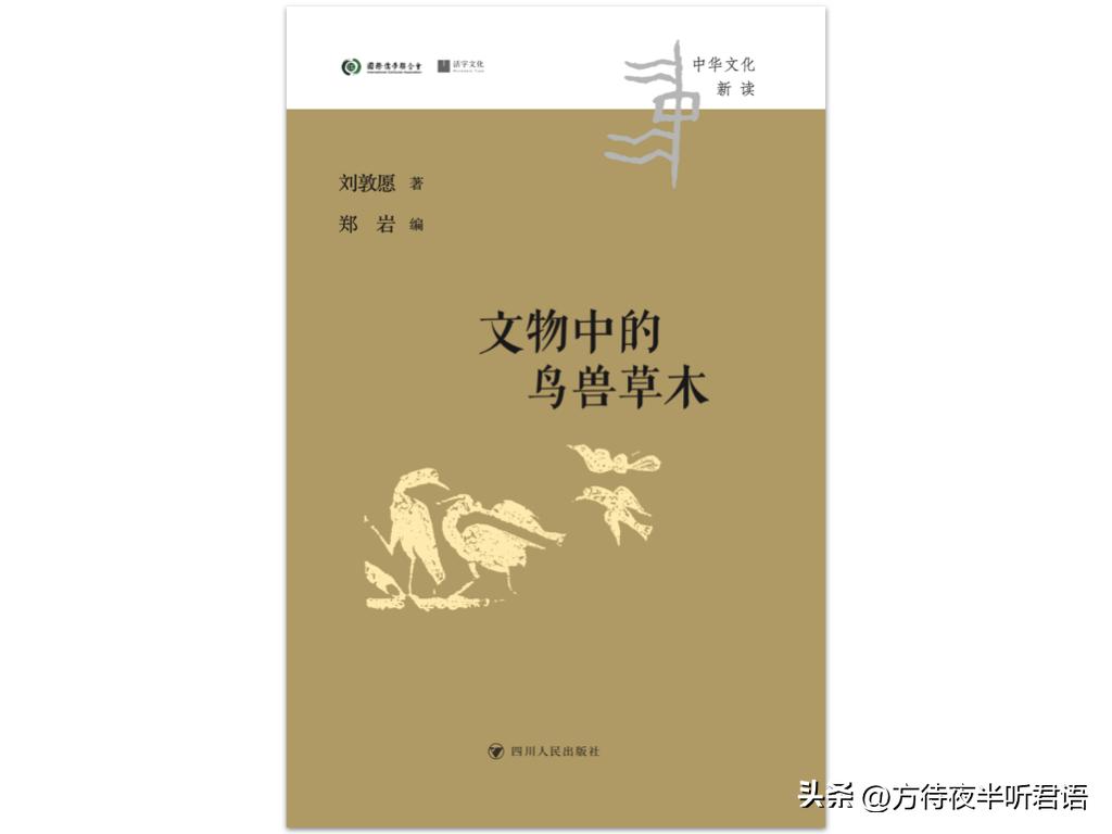 殷商三千年前,商朝为什么崇拜猫头鹰