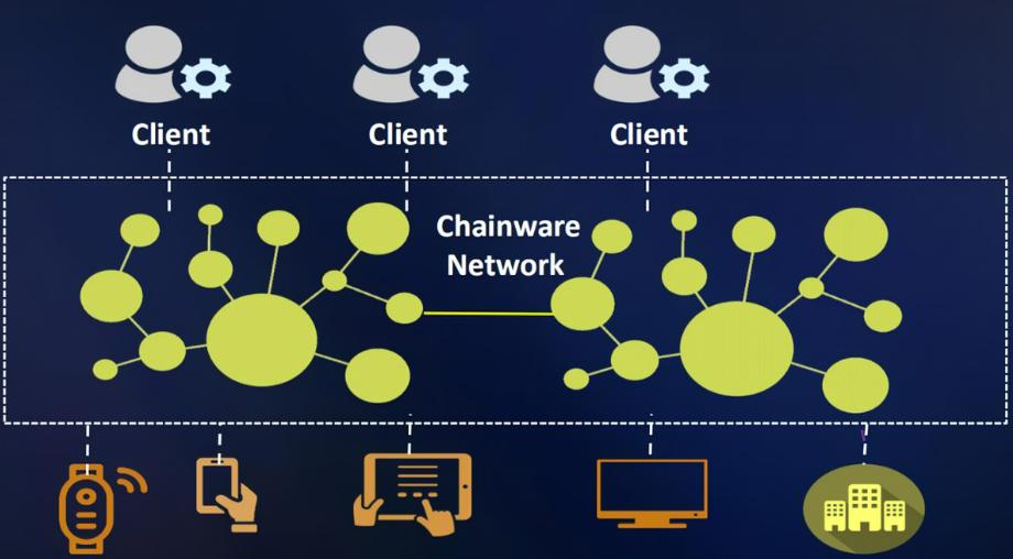 无线电赋能数字化经济,无线电赋能频谱经济