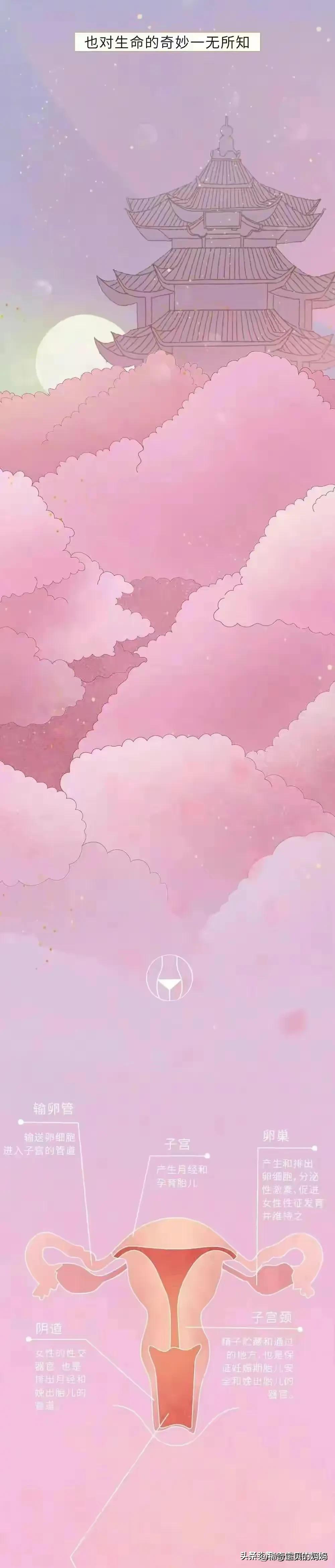 第一次*生活性**前需要了解和注意的问题！（漫画）