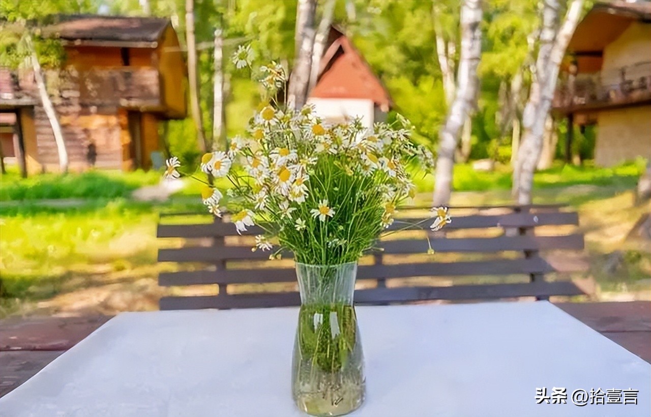 心累的时候给自己一段安慰的话,心累时只有自己安慰自己