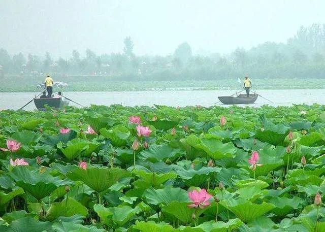 保定古城攻略旅游路线推荐,保定地区有哪些古城