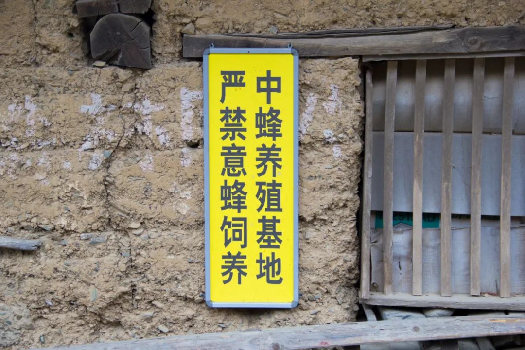 疫情让秦岭山村变得更加寂静，寻访秦岭坪沟，尽量不主动接触村民