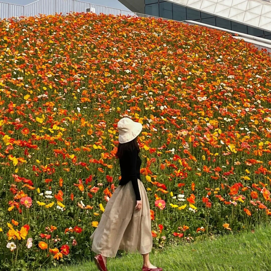 成都白绣球花美景,春天必打卡的樱花海棠花胜地