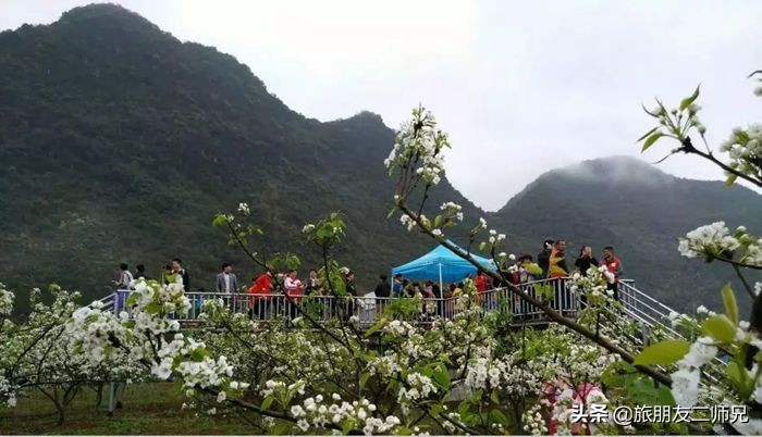 清远阳山二天一夜旅游景点攻略,广州自驾阳山旅游攻略图